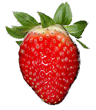 Fresh strawberry