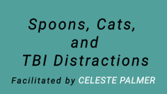 Spoons, Cats, and TBI Distractions : facilitated by Celeste Palmer